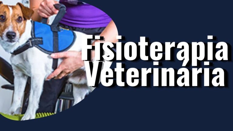 Curso Online de Masoterapia Animal