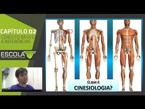 Curso de Cinesiologia Online Gratuito