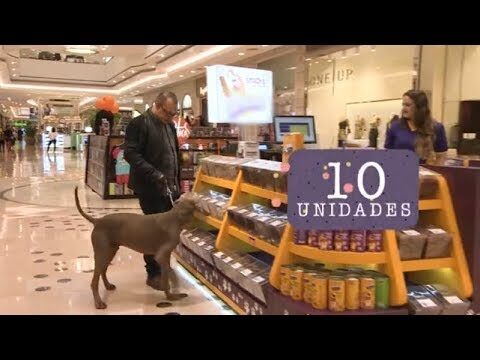 Curso Online: Biscoitos Saud&aacute;veis para Cachorros