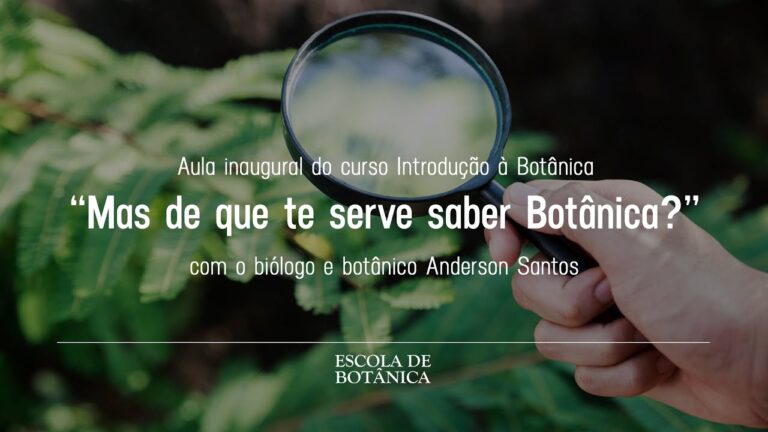 Curso de Bot&acirc;nica Online: Aprenda de onde estiver!