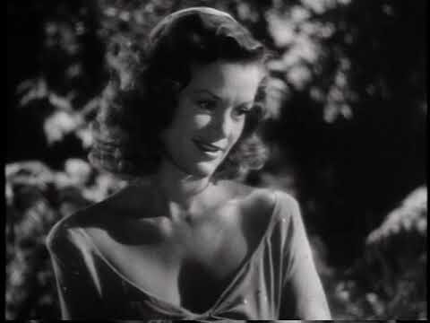 A Maldi&ccedil;&atilde;o dos Cat People: Assista Online