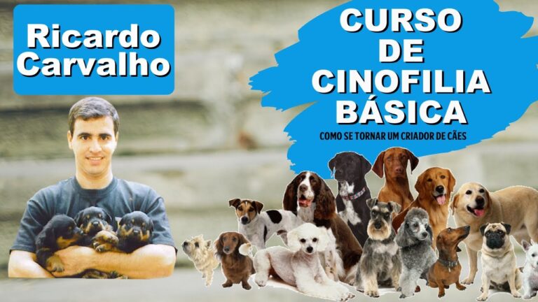 Curso de Cinofilia Online: Aprenda a Treinar Seu C&atilde;o &agrave; Dist&acirc;ncia