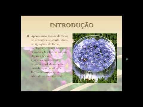 Florais de Bach Online N&iacute;vel III: Curso Otimizado e Conciso