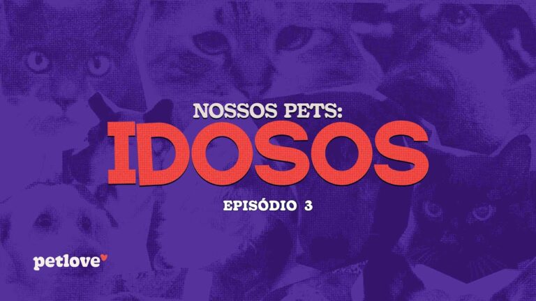 Guia Completo de Curso Bolt Pets: Tudo o que voc&ecirc; precisa saber