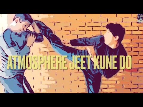 Curso de Artes Marciais: Domine as T&eacute;cnicas e Aprimore sua Habilidade