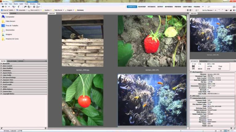 Guia completo para dominar o Curso Adobe Bridge