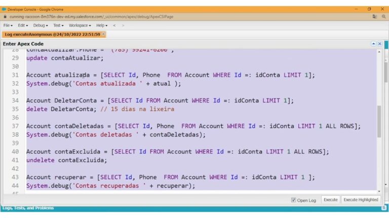 Curso Salesforce Developer: Aprenda a desenvolver com efici&ecirc;ncia