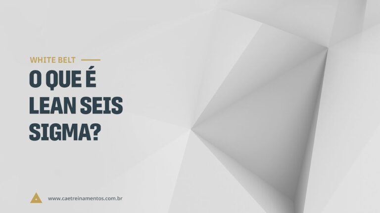 Curso Seis Sigma: O Guia Completo