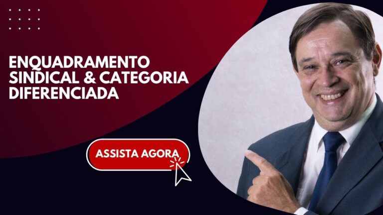 Categorias Profissionais: Um Guia Completo