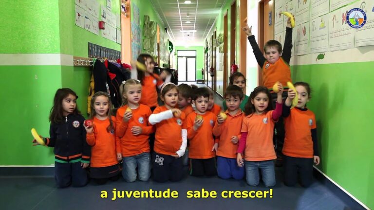 Pre&ccedil;os do Colegio do Rio Portim&atilde;o: O Que Esperar?