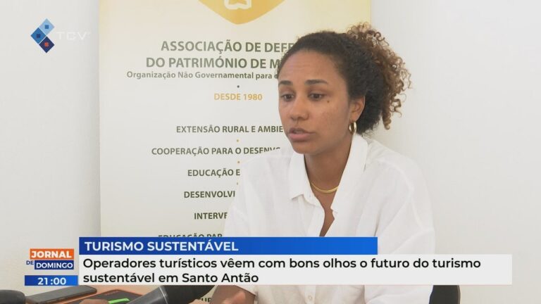 Entendendo os Operadores Turísticos: Funções e Importância