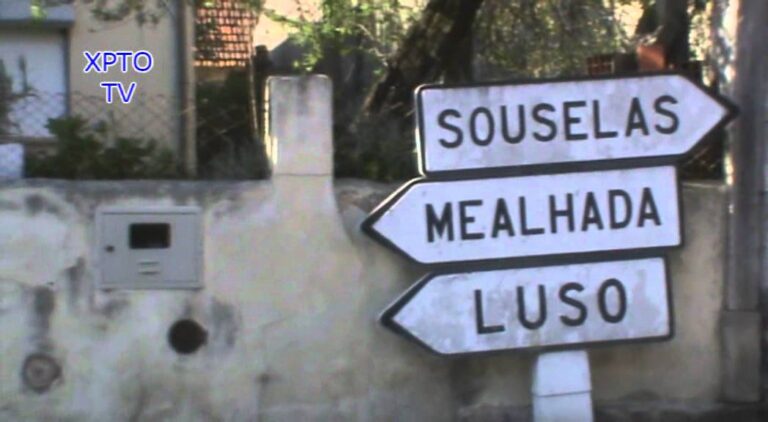 Descubra o Tempo em Pampilhosa do Bot&atilde;o