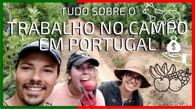 Empregos em Beja: Oportunidades no OLX