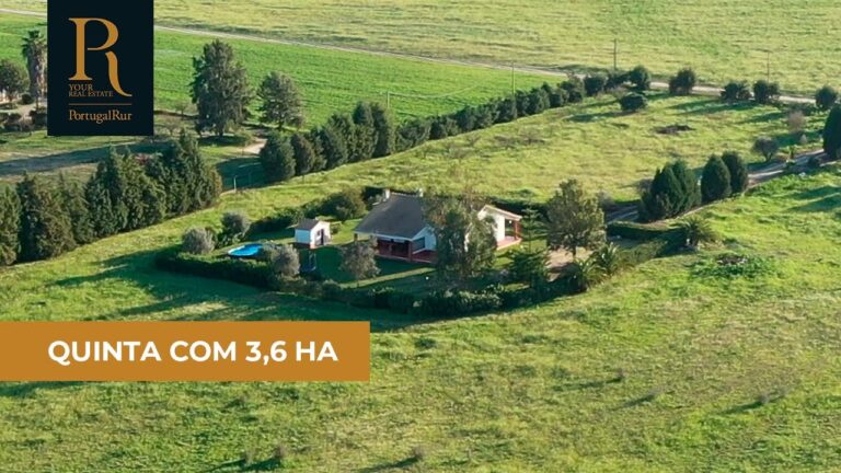 Dist&acirc;ncia entre Lisboa e Montijo: Tudo o que Voc&ecirc; Precisa Saber