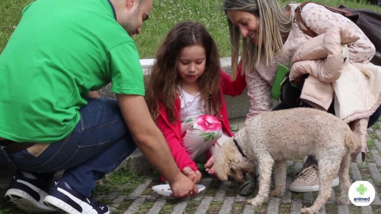 Hospital Veterinário Gondomar: Cuidados e Bem-Estar para Seu Pet