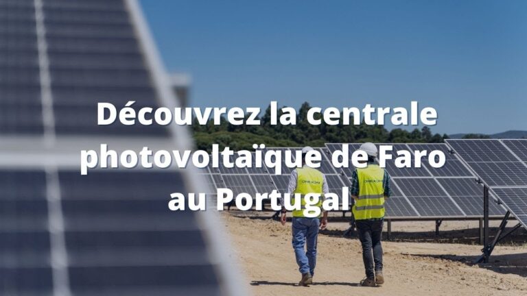 Empresa Francesa Recruta em Portugal