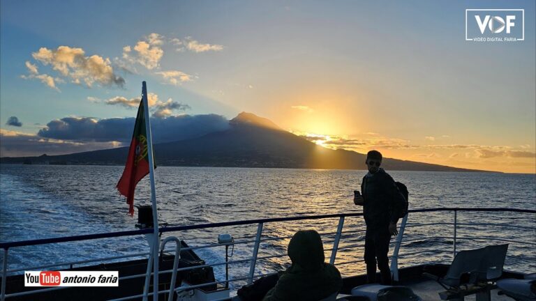 Oportunidades de Emprego na Faial e Horta