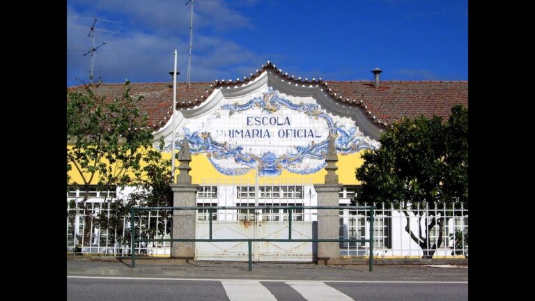 Descubra o Fascinante Mundo do Tempo Zebreira